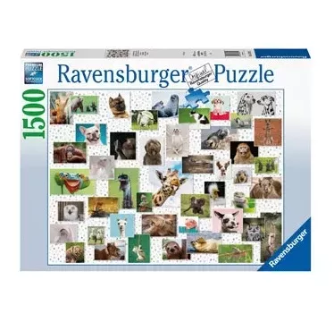 1500 pc Puzzle – Funny Animals Collage