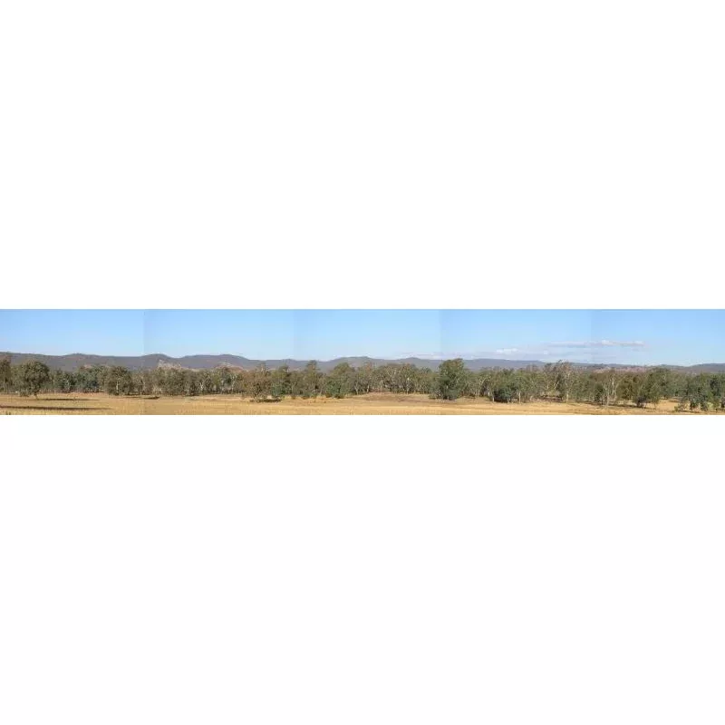 (3HOA) Barinore (large). Size: 45x260cm. Backdrop 6