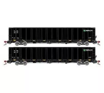 Athearn Genesis GN6729 N Scale NSC 6000 Gondola with Load TLPX