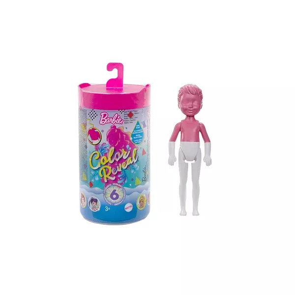 Barbie Color Chelsea Reveal Mystery Doll