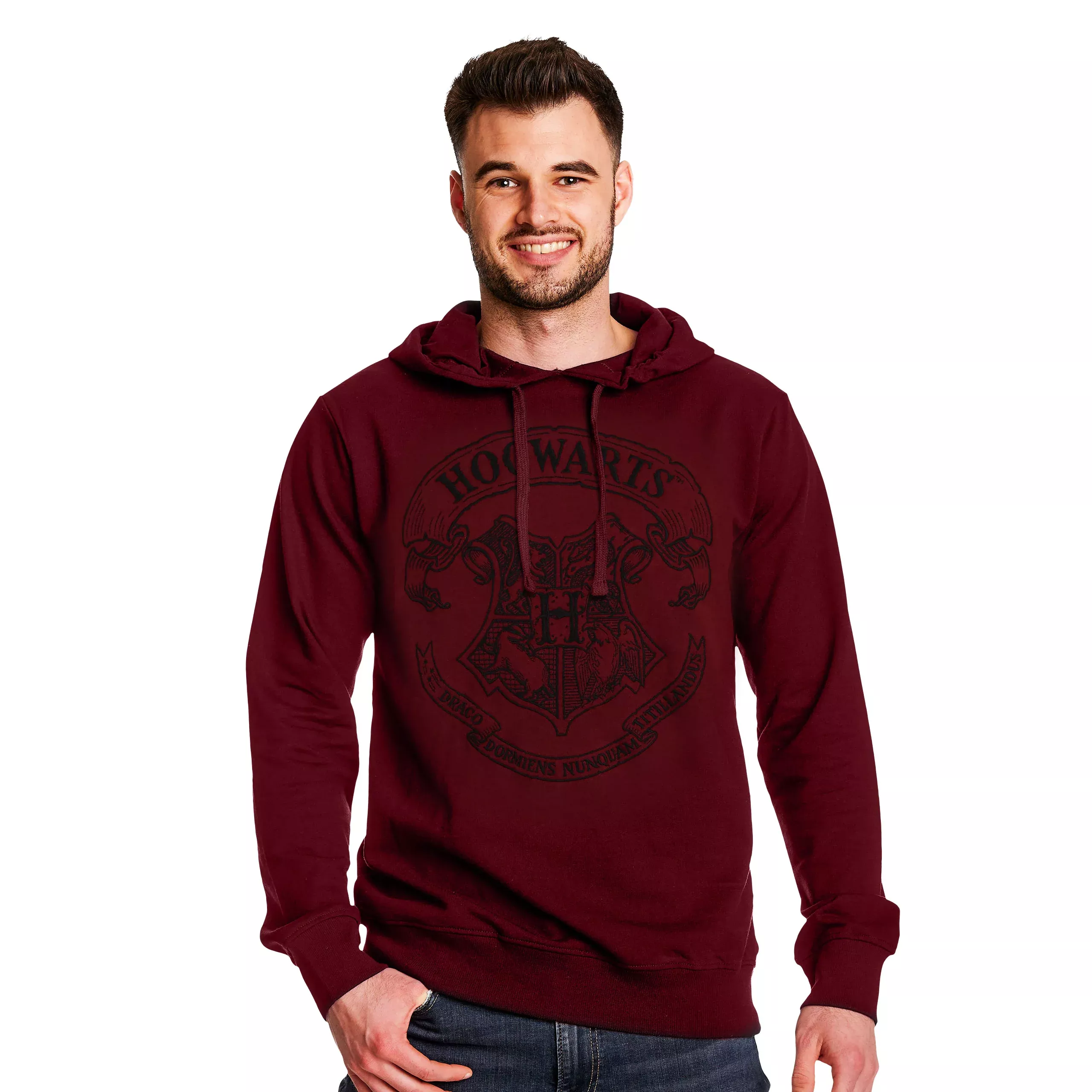 Harry Potter - Hogwarts Logo Hoodie red