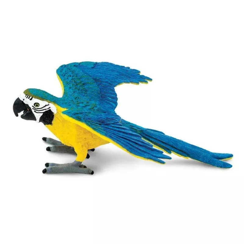 Lorikeet Toy