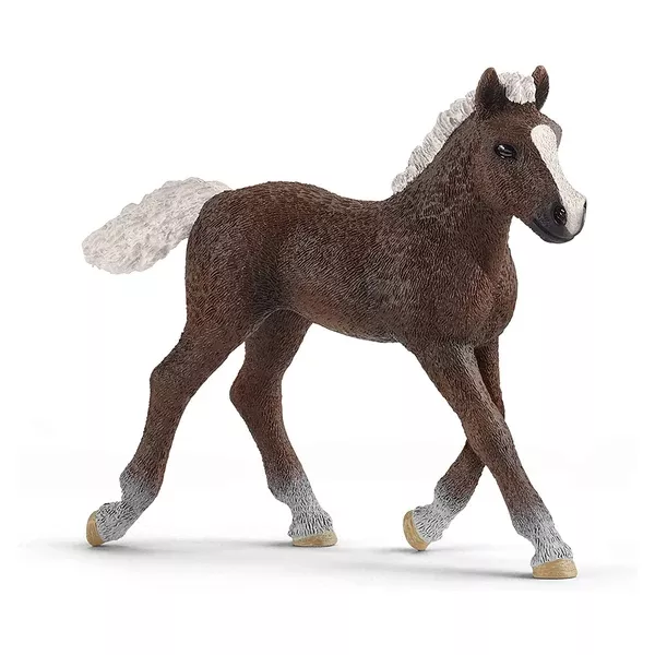 Schleich Black Forest Foal Animal Figure 13899