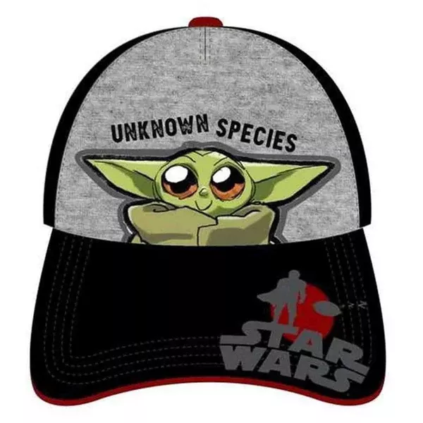 Star Wars The Mandalorian Unknown Species Snapback Hat