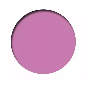 Vallejo 70.958 Pink Model Color