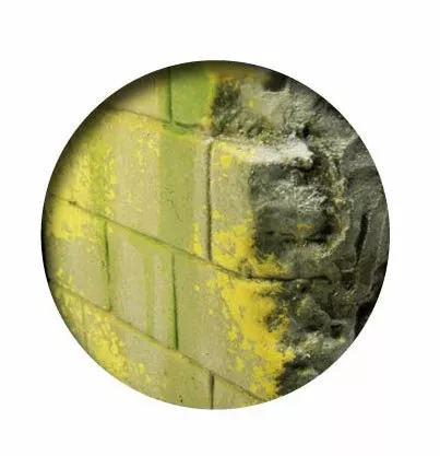 Vallejo 73.827 Moss & Lichen Weathering Effect